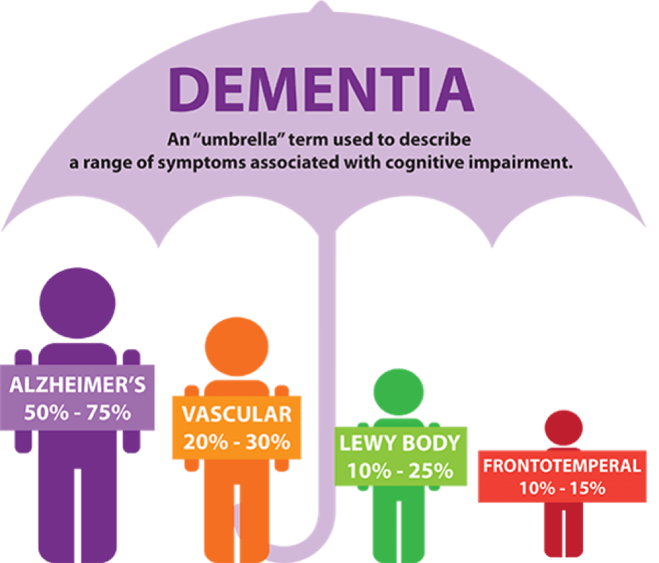 Alzheimer s Disease A Type Of Dementia